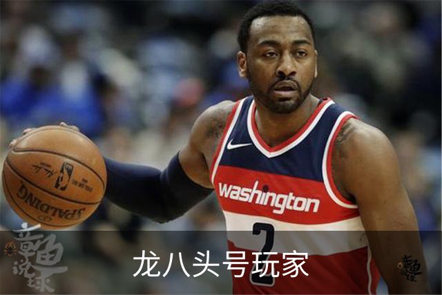 龙八头号玩家公司简介图片